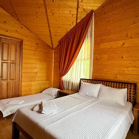 будинок, шале, з сауною, Chalet Yaremche